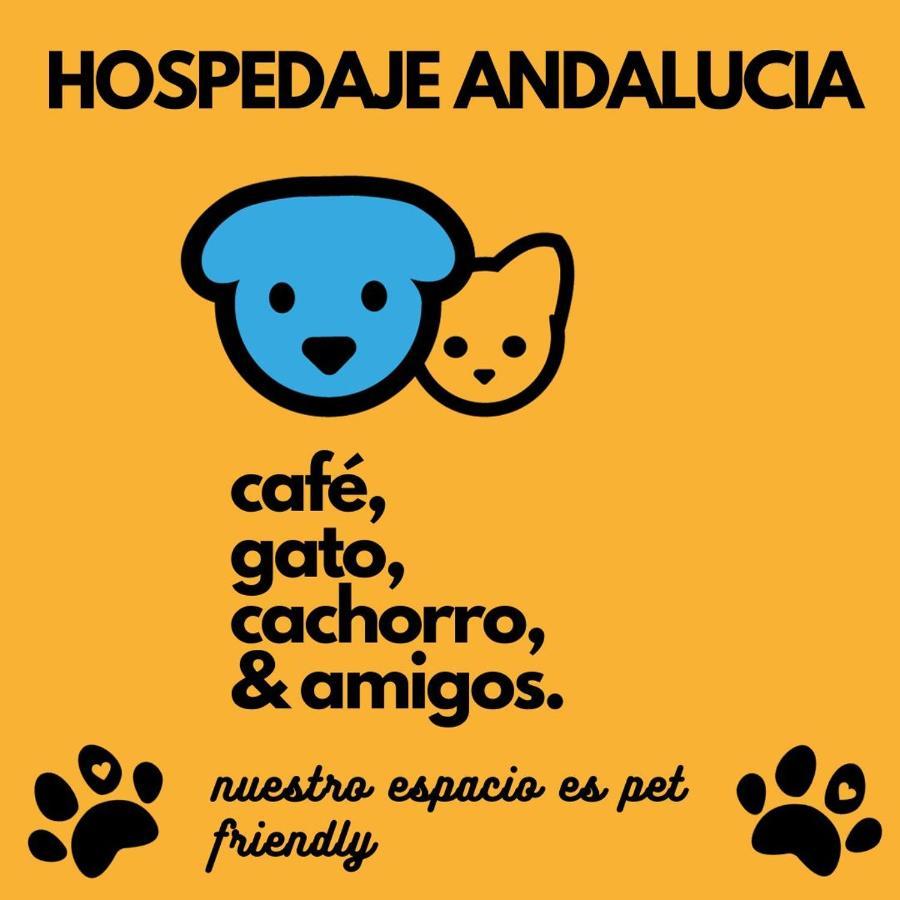 Casa Andalucia Hostel - Florianopolis — Photos 3